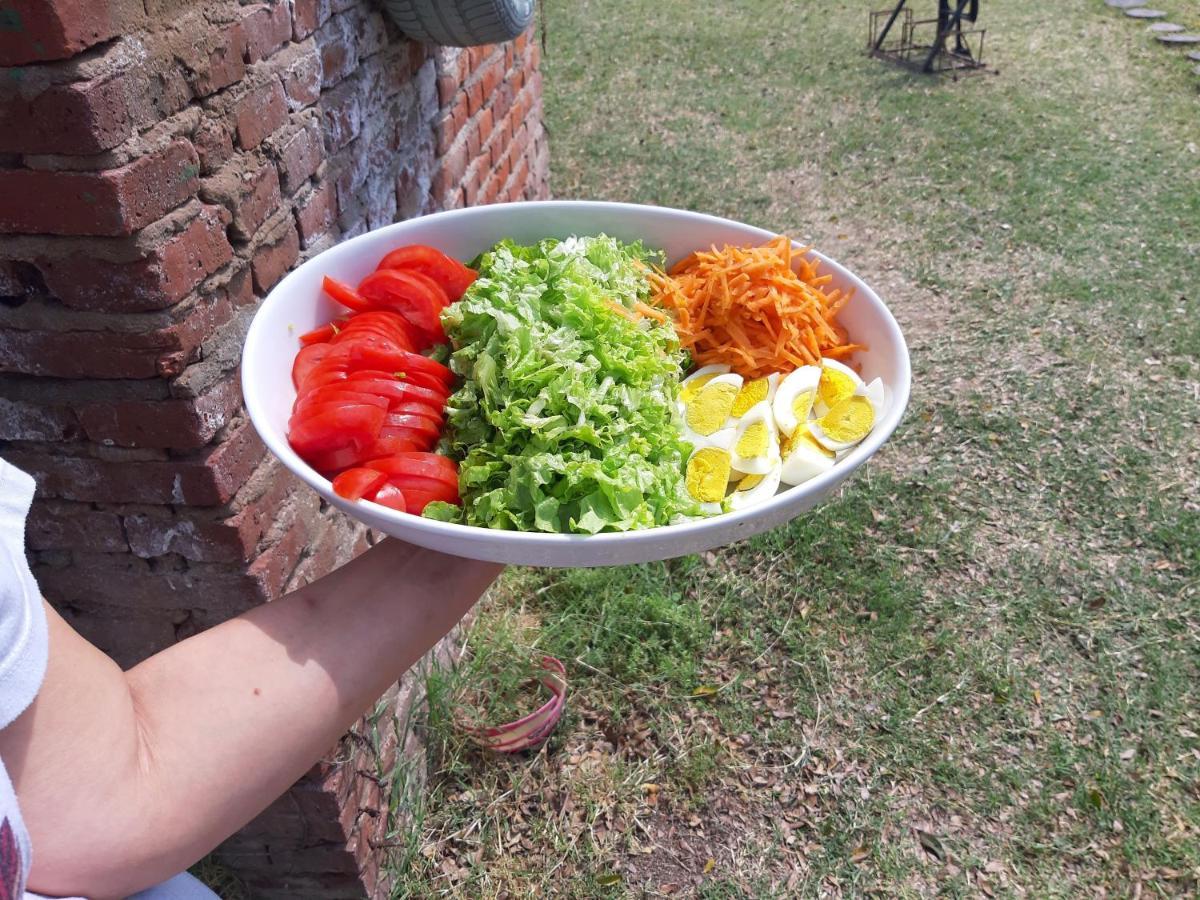 Avia Terai فندق دي كامبو إل ريبنكي المظهر الخارجي الصورة